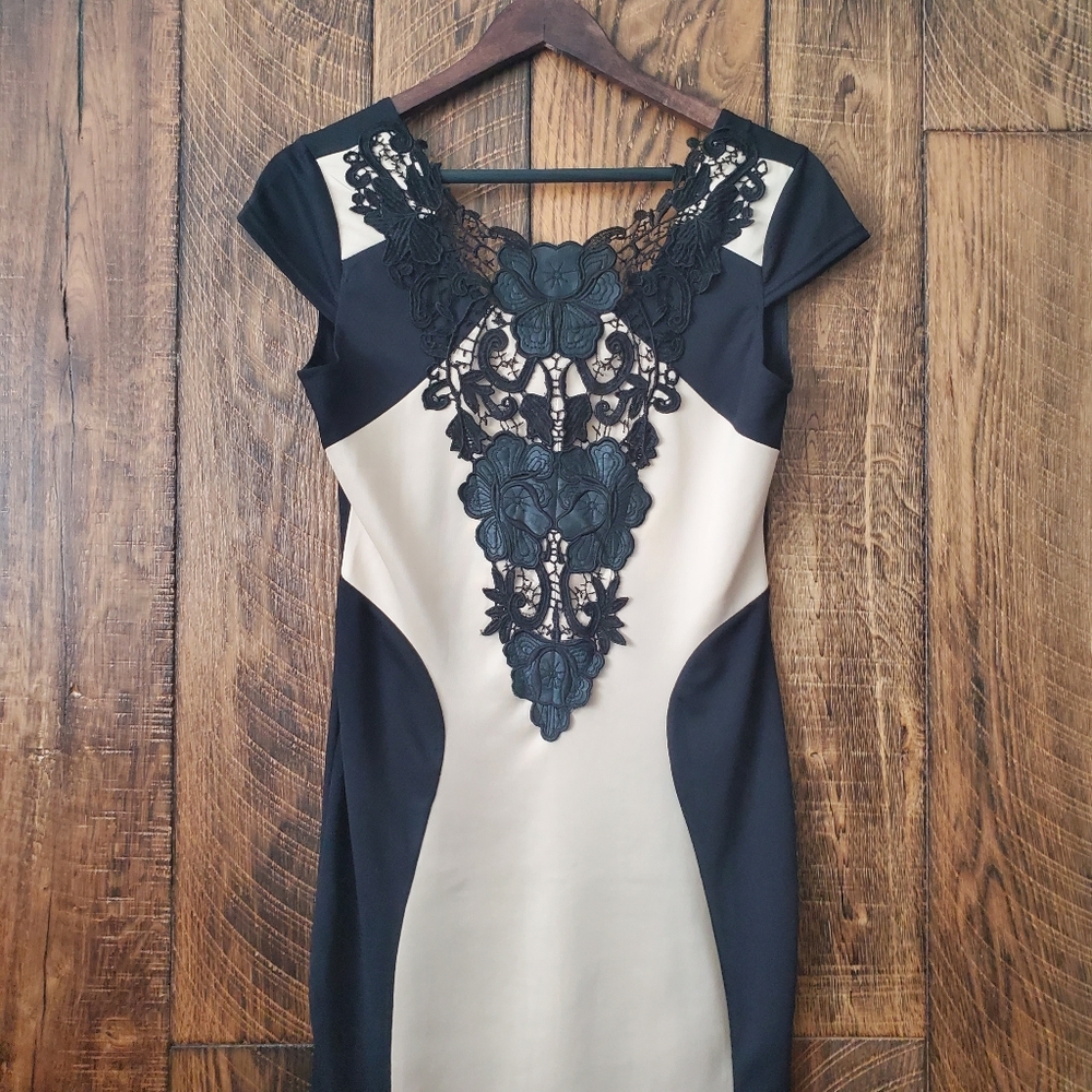 NWT Jade & Juilet lace detail tan/black dress  large